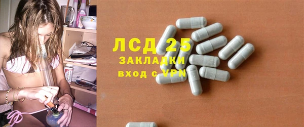 спайс Арсеньев