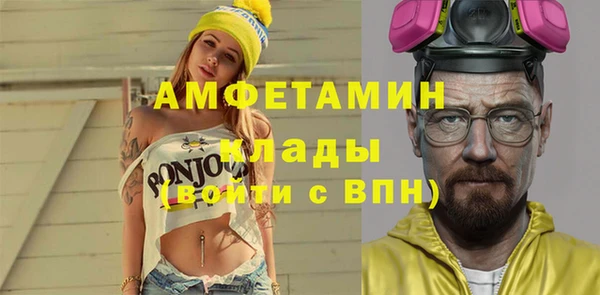 стаф Аркадак