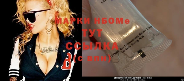 стаф Аркадак