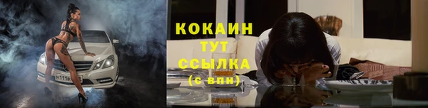 стаф Аркадак