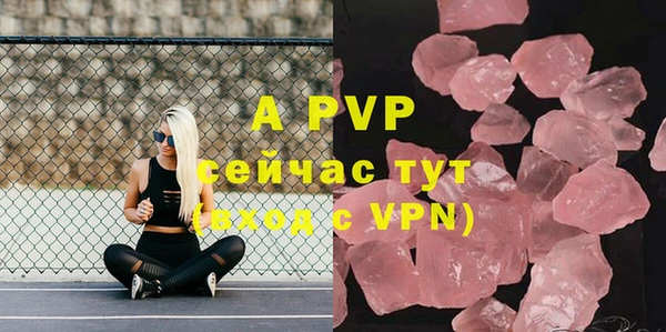 спайс Арсеньев