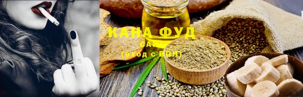 стаф Аркадак