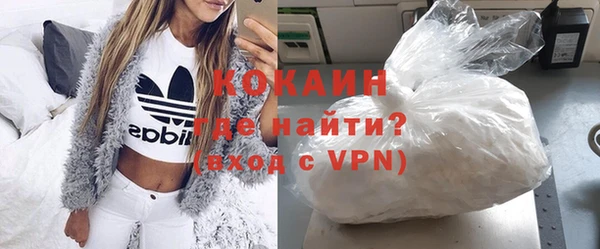 стаф Аркадак