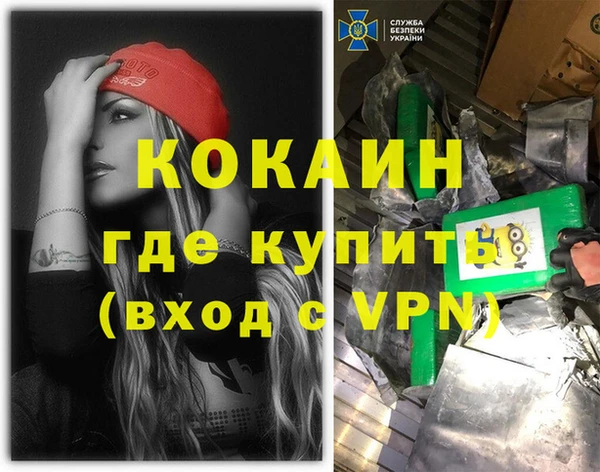 стаф Аркадак