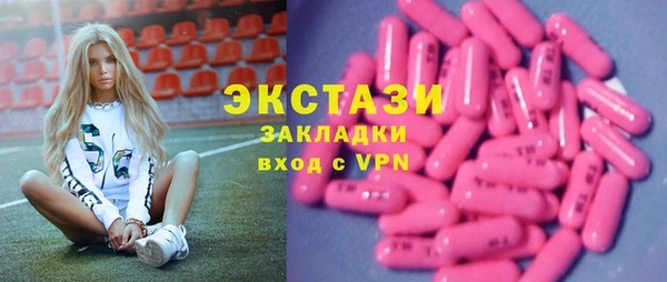 стаф Аркадак