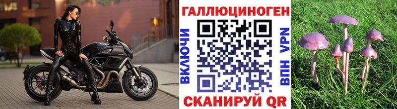 где продают наркотики  Новоульяновск  Псилоцибиновые грибы Cubensis 